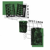 Fresh Specimen S/T