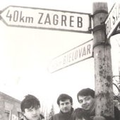 Stidljiva Ljubičica 