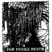 Campaign For Penile Destruction