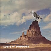 Lake of Puppies