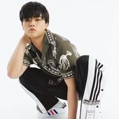 Vinxen Adidas 