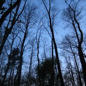 IMG_2877.JPG