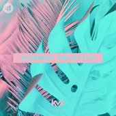 Summer Solstice (feat. Twan Ray) - Single