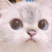 Avatar for besilentmike