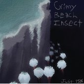 Grimy Beach Insect