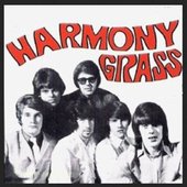 Harmony Grass_8.JPG