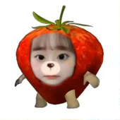 Veromei 的头像