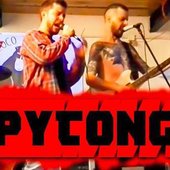 pytong.jpg