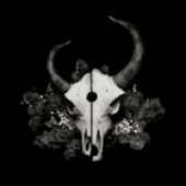 LastFM profile picture for @senses