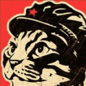 amasokin 的头像