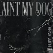 Ain't My Dog