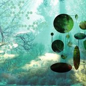 Banner-7.jpg