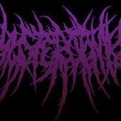 Hysterotomy (Indo)