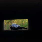 vlcsnap-2024-11-13-22h19m15s395.png