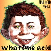 Mad Acid Vol​.​1 What?Me Acid