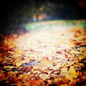 Variations (for autumn)