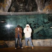 aquatic
