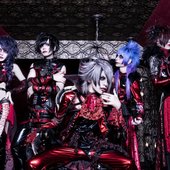 12336-verxina-group-shot.jpg