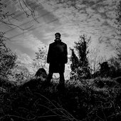 Fallaness — (2024.11)