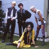 Siouxsie and the Banshees