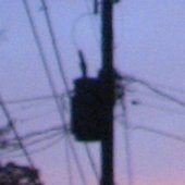 telephone pole.jpg