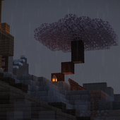 Avatar for DanShkr
