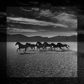 The Great Upheaval