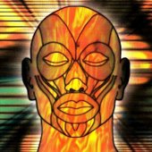 Human NRG