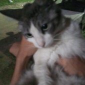 Lil Tyma