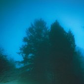 artist image from spotify