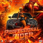 Professional Rider