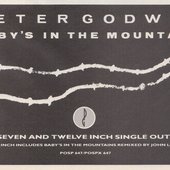 Peter Godwin - Baby's in the Mountains (1984)