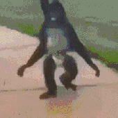 monkeysmb 的头像