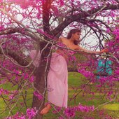 zabawabutterfly'srepose.jpg