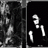 IMG_9988.gif