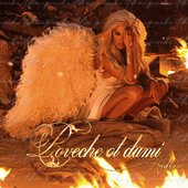 Повече от думи (Limited Collectors Edition)