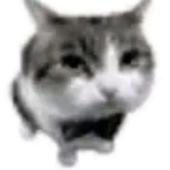 Avatar for tiaguera-