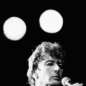 Alain Bashung