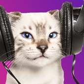 LastFM profile picture for @Minnu