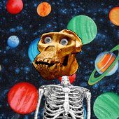 Avatar for jmsfntn