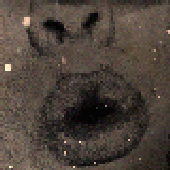 LastFM profile picture for @sedated