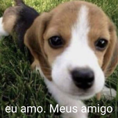 Cowmunista 的头像