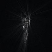 diamonds are forever