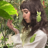 maphyas 的头像
