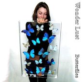 Butterflies EP