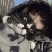 Avatar for stwlker