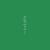 Silver Apricot (Original Soundtrack)