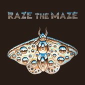 Raze the Maze