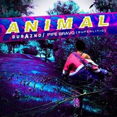 Animal - Single