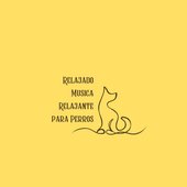 IMG_5228.jpeg